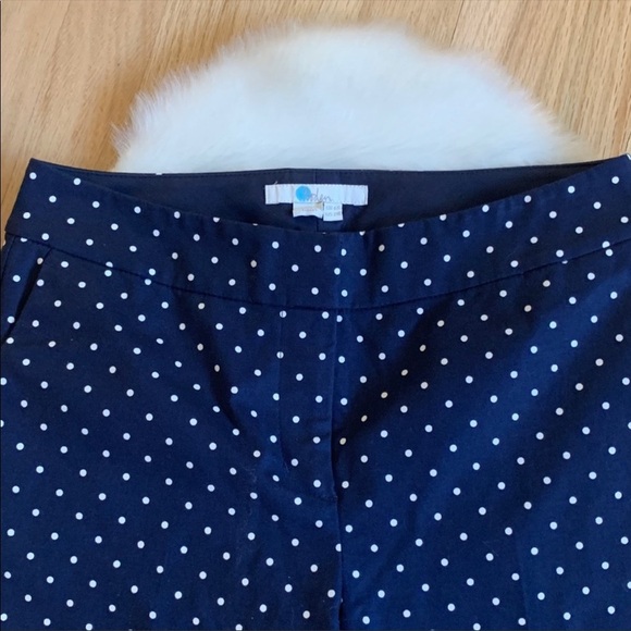 NWOT Boden Crop Pants: Navy Blue & White, Size‎ 2 - Picture 3 of 6